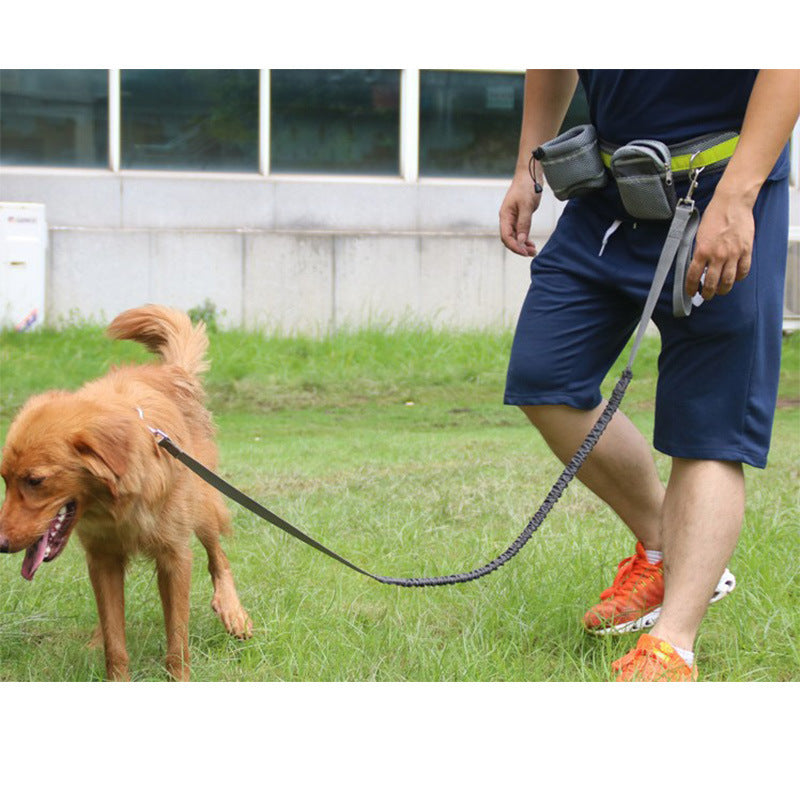 ADJUSTABLE HANDS-FREE DOG LEASH