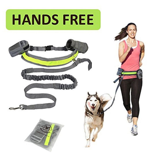 ADJUSTABLE HANDS-FREE DOG LEASH